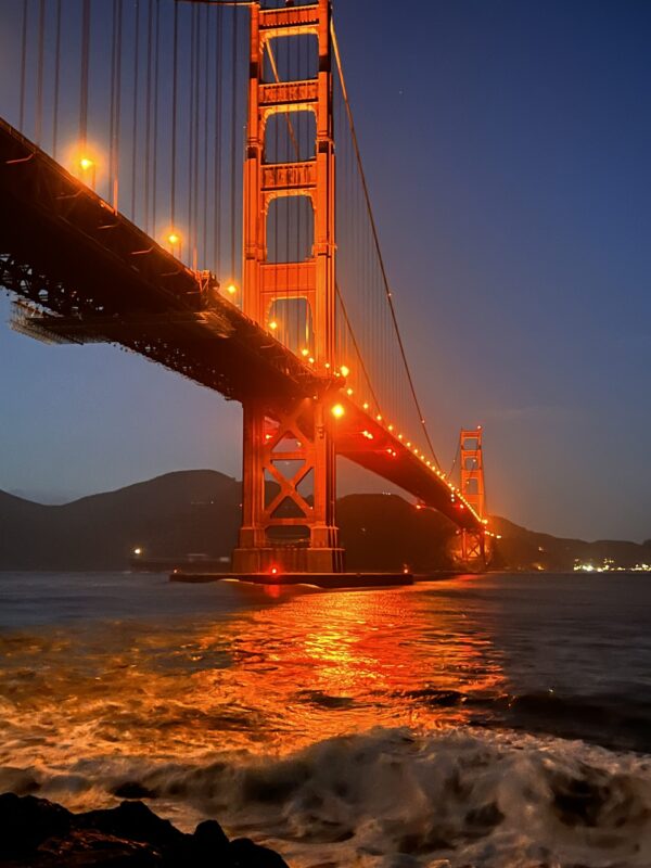 San Francisco Tour - 4 hours - Image 12
