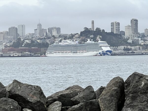 Muir Woods & Sausalito Tour - 5 Hours - Image 7