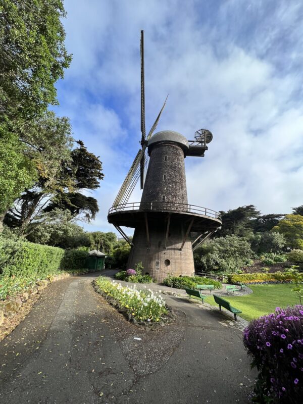 San Francisco Tour - 4 hours - Image 8
