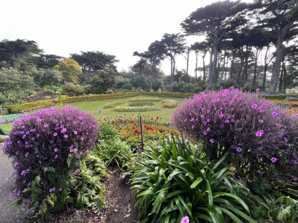 San Francisco Tour - 4 hours - Image 11