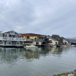 Muir Woods & Sausalito Tour - 5 Hours