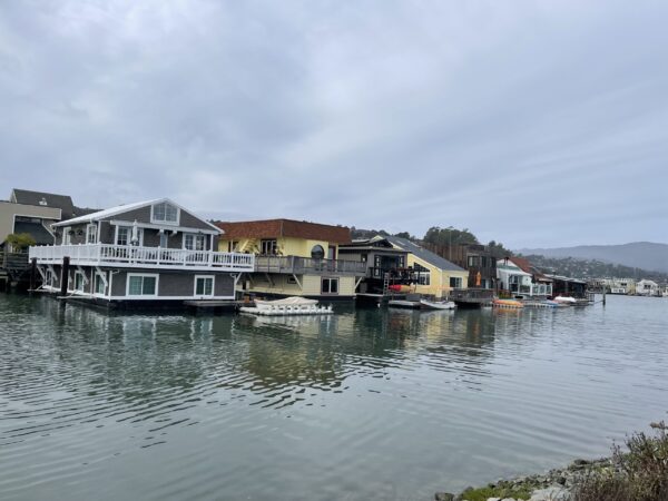 Muir Woods & Sausalito Tour - 5 Hours