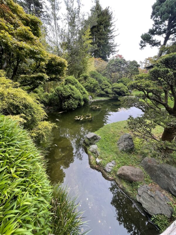 San Francisco Tour - 4 hours - Image 10