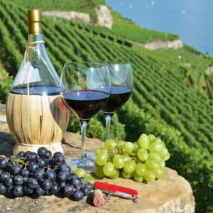 Napa & Sonoma Wine Country Tour - 9 Hours