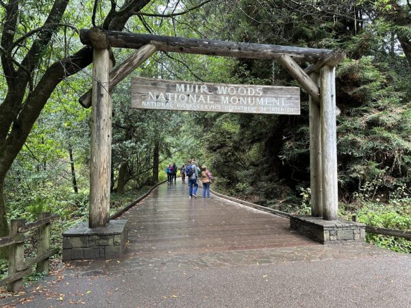 Muir Woods & Sausalito Tour - 5 Hours - Image 8