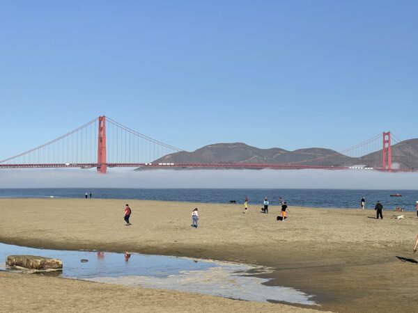 San Francisco Tour - 4 hours - Image 3