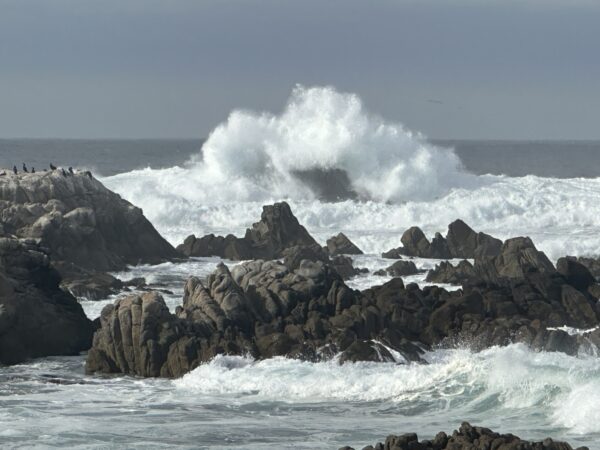 Monterey & Carmel Tour - 12 Hours - Image 2