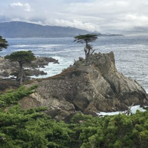 Monterey & Carmel Tour - 12 Hours