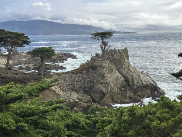 Monterey & Carmel Tour - 12 Hours