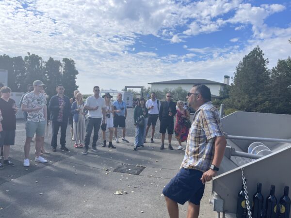 Team Adventures and Group Escapes - Image 5