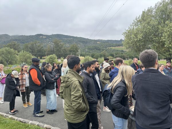 Team Adventures and Group Escapes - Image 4